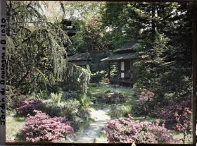 Image représentant Étroit chemin menant à la maison ouest du " village japonais ", puis en direction du jardin anglais