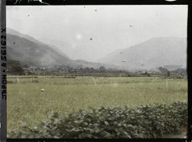 Image représentant Rizière et mûriers