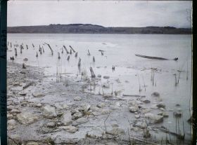 Image représentant Site palafittique préhistorique des Alpes, pieux en bois visibles lors de la baisse des eaux après la grande sécheresse de 1921