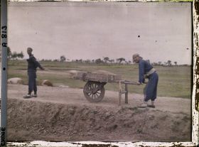 Image représentant Dans les champs