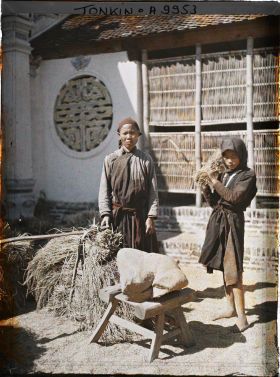 Image représentant Le battage du riz après la moisson devant la Pagode de Dap-Câu