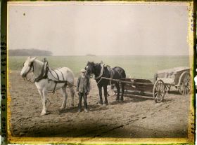 Image représentant Ile de France, Vallangoujard, Cultivateur recouvrant d'engrais un champ ensemencé de betteraves