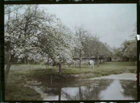 Image représentant Ferme et pommiers sur la route de Deauville