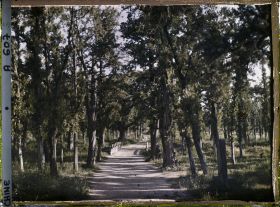 Image représentant Konglin, la nécropole de la famille de Confucius