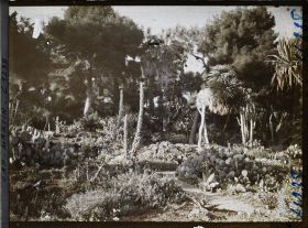 Image représentant le Jardin