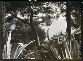 Image représentant coucher de Soleil