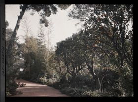 Image représentant Cap-Martin - Le Jardin