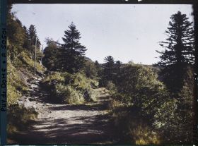 Image représentant France, Mont Dore, Route Conduisant au Pic du Capucin