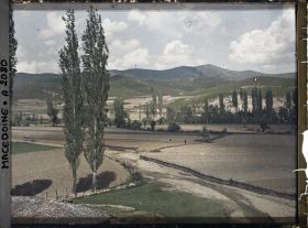 Image représentant Fonds cultivés avec versants couverts de maquis de chênes et deux peupliers