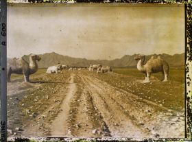Image représentant Ming Shisanling (" Treize Tombeaux des Ming ")