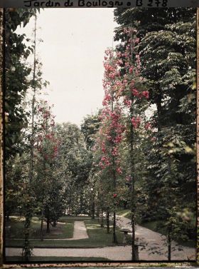 Image représentant Partie sud-ouest du verger-roseraie longeant le jardin japonais en direction du jardin français