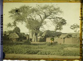 Image représentant Baobab dans le village