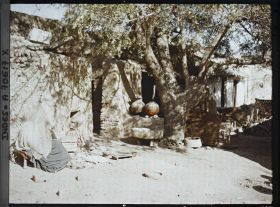 Image représentant Rue dans Old Delhi ?