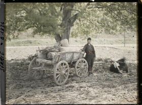 Image représentant Attelage paysan