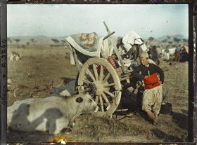 Image représentant Campement de réfugiés de Strumica