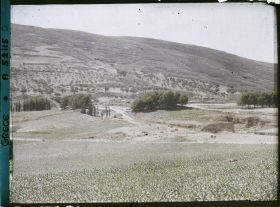 Image représentant Panorama vers l'ensemble des ruines du Palais (derrière, le premier bouquet d'arbres, le théâtre), (direction sud-est)