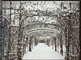 Image représentant Axe central du verger-roseraie sous la neige, vu vers la dépendance, à la limite du jardin français