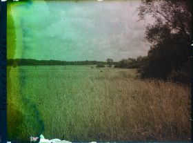 Image représentant France, Montsec, Champ de Blé