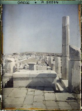 Image représentant Quartier du Hieron (sanctuaire) d'Apollon, l'avenue des Processions conduisant au Hieron (direction nord)