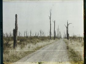 Image représentant Belgique, Font d'Houthulst, Font d'Houthulst, Route dans le font (Sud Est)