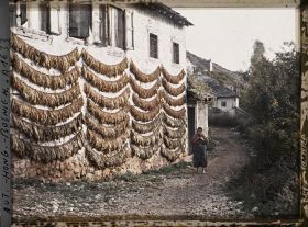 Image représentant Tabac sur une maison et sur les murs