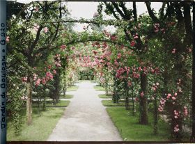 Image représentant Axe central du verger-roseraie vu vers la dépendance, après le rond-point proche du jardin français