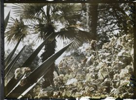 Image représentant le Jardin