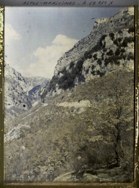 Image représentant Paysage de vallée (Gorges du Loup ?)
