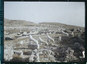 Image représentant La Terrasse des Lionnes