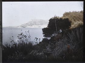 Image représentant Le Jardin (matin)