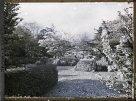 Image représentant Palais Nijô-jô : jardin du palais Ni-no-Maru