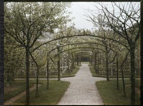 Image représentant Axe central du verger-roseraie vu en direction du jardin anglais, après le rond-point côté dépendance