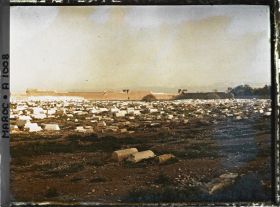 Image représentant Le cimetière israélite