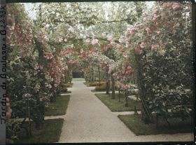 Image représentant Axe central du verger-roseraie vu à mi-parcours, en direction du jardin anglais