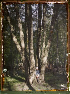 Image représentant Forêt de Compiègne [aménagements d'un camp militaire]