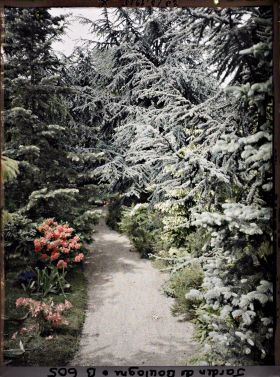 Image représentant Forêt bleue