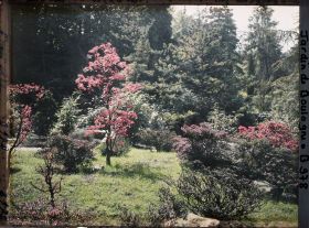 Image représentant Érables rougeoyants du " sanctuaire japonais " proches de la porte d'accès au " village japonais "
