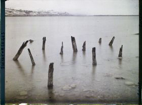 Image représentant Site palafittique préhistorique des Alpes, pieux en bois visibles lors de la baisse des eaux après la grande sécheresse de 1921