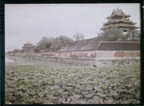 Image représentant Au nord-ouest de Zijincheng (" cité Pourpre Interdite ")