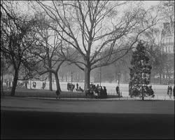 Image représentant Avenue du Bois de Boulogne