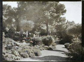 Image représentant Le Jardin