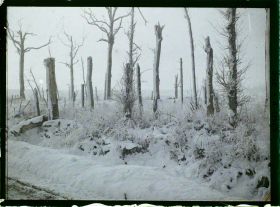 Image représentant France, Bois des Loges, Tranchées du Château