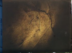 Image représentant La grotte des Trois-Frères : la tête de bison