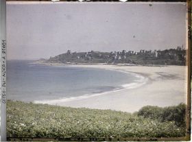 Image représentant La plage de Trestraou avec au premier plan un champ de pommes de terre