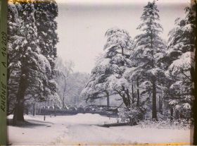 Image représentant Parc de la Tête d'Or