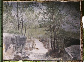 Image représentant France, Fontainebleau, Forêt de Fontainebleau