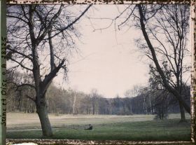 Image représentant Les abords de la maison forestière de Garches?