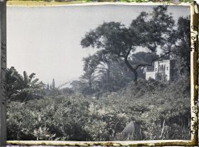 Image représentant Le jardin du palais du Bardo