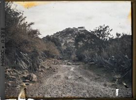 Image représentant Sur la route menant à Moulay Idriss
