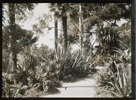 Image représentant le jardin